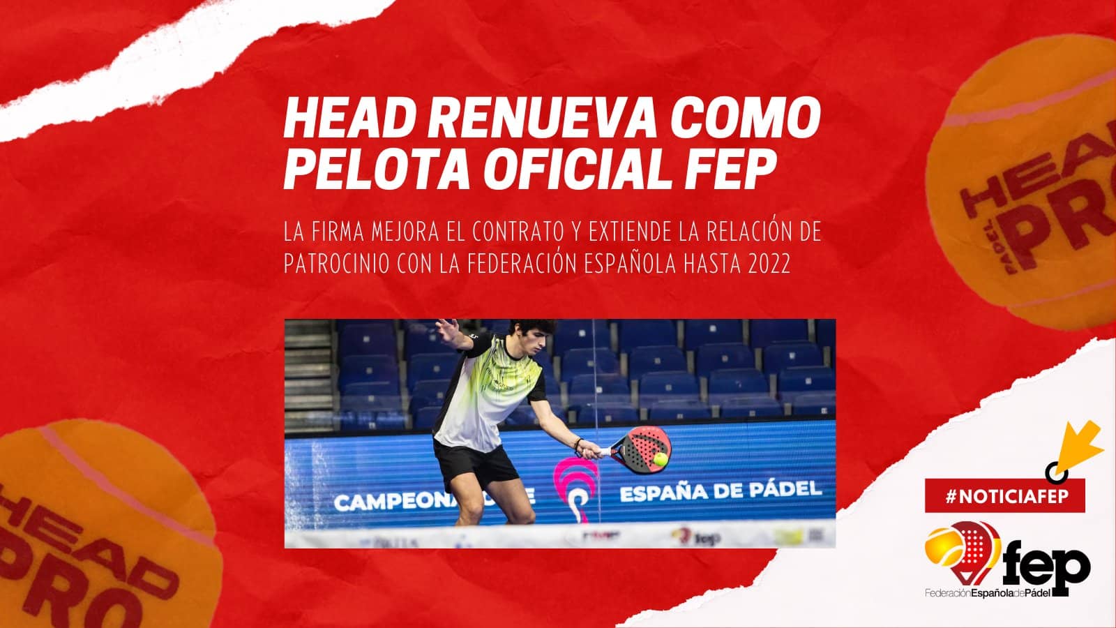 HEAD Padel Pro: la Pelota Oficial de la FEP renueva hasta 2022