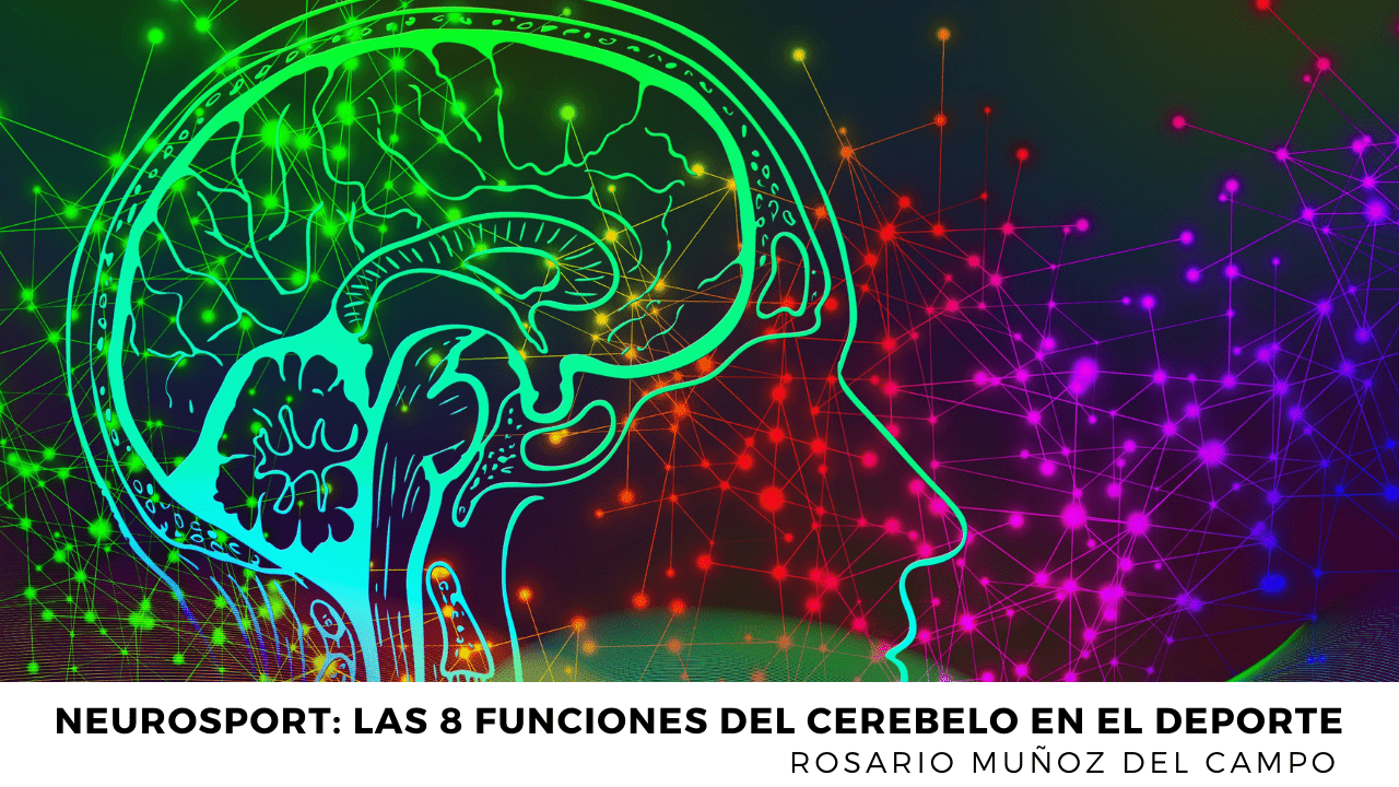 Neurosport: Las 8 funciones del cerebelo en el deporte