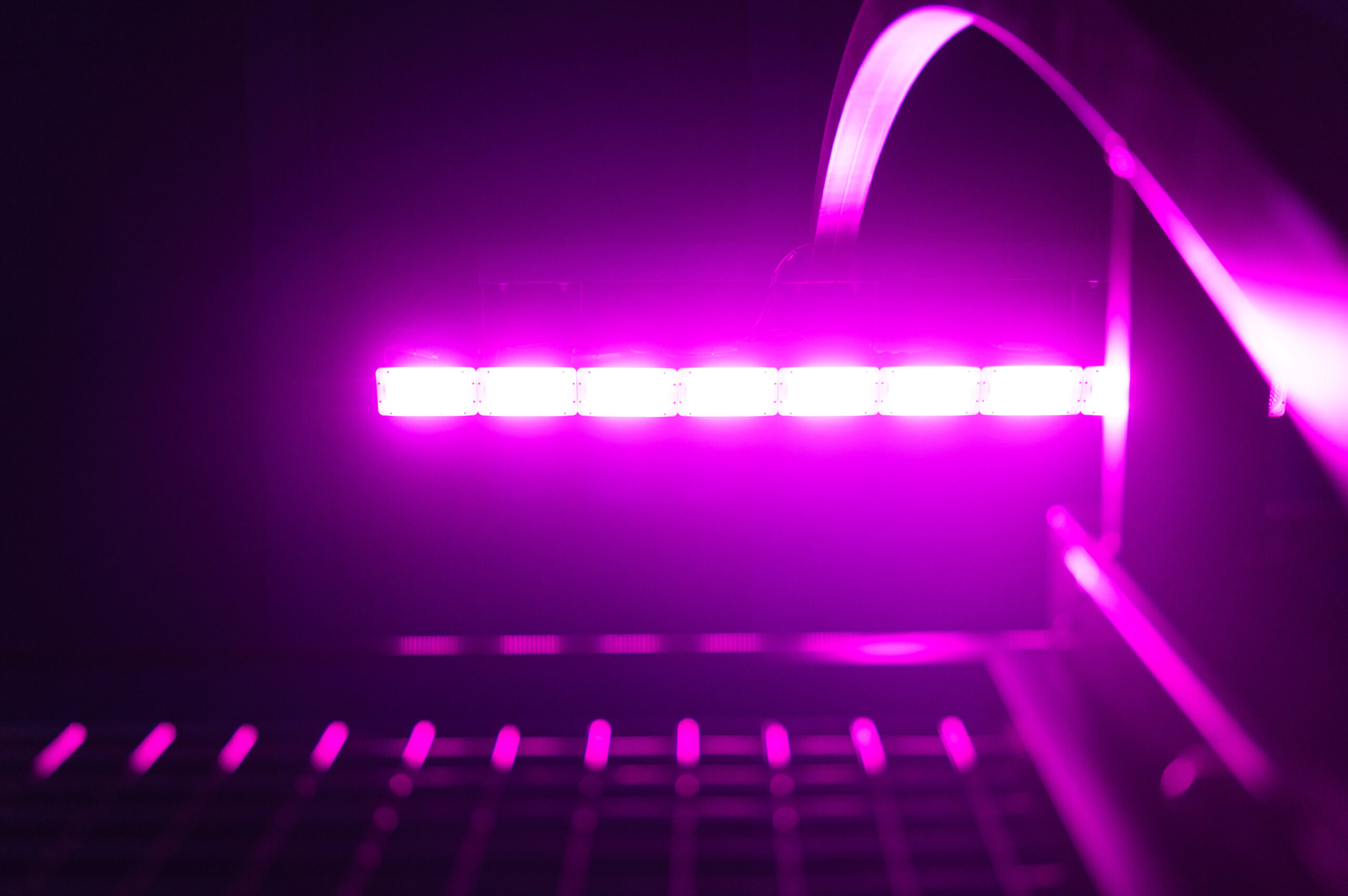 Led Projects consigue la certificación ETL: llave de acceso al mercado de EEUU 1 Led Projects y la ETL